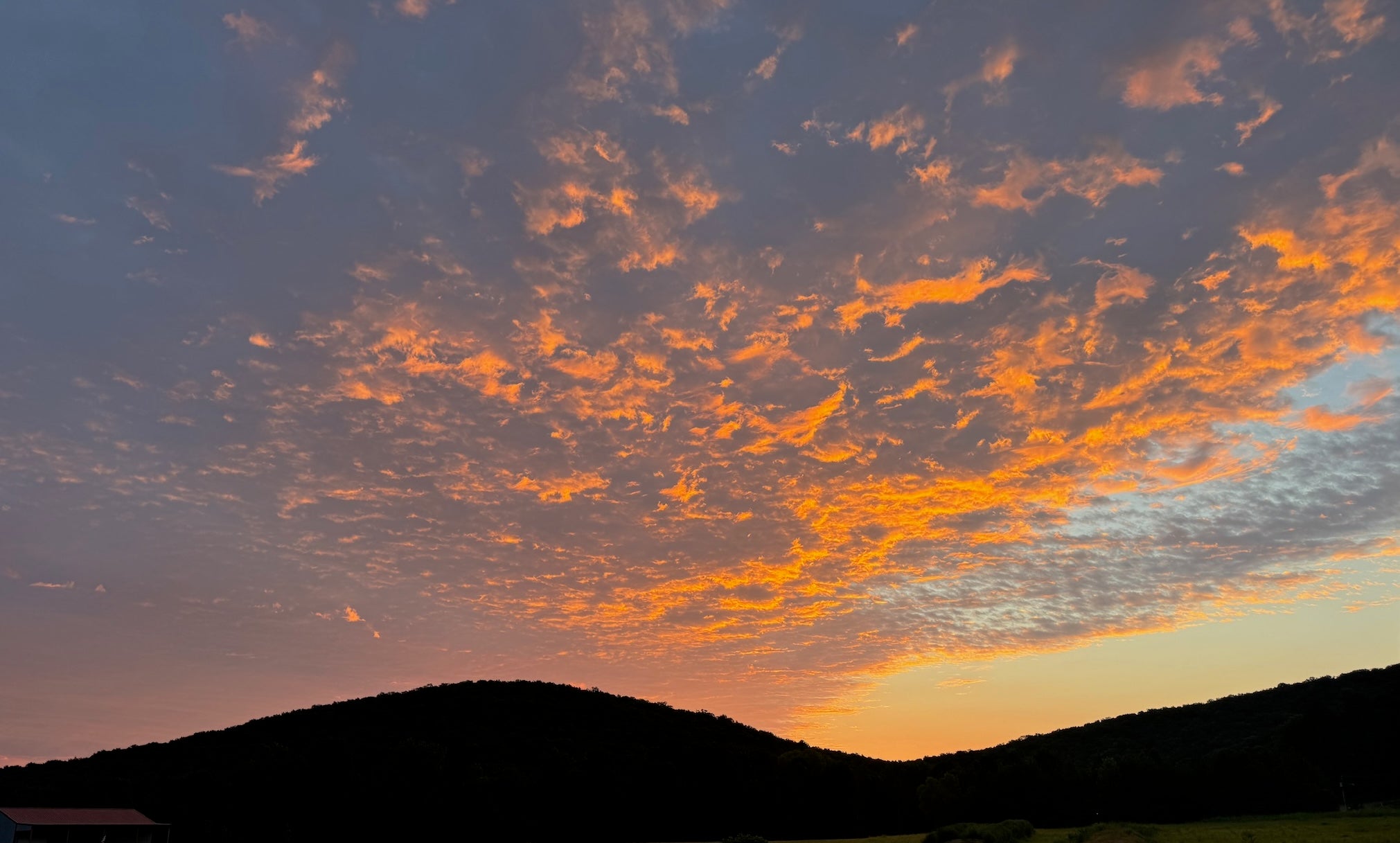 Clouds Cove Cookies | Sky-Inspired Cookies in Huntsville, AL