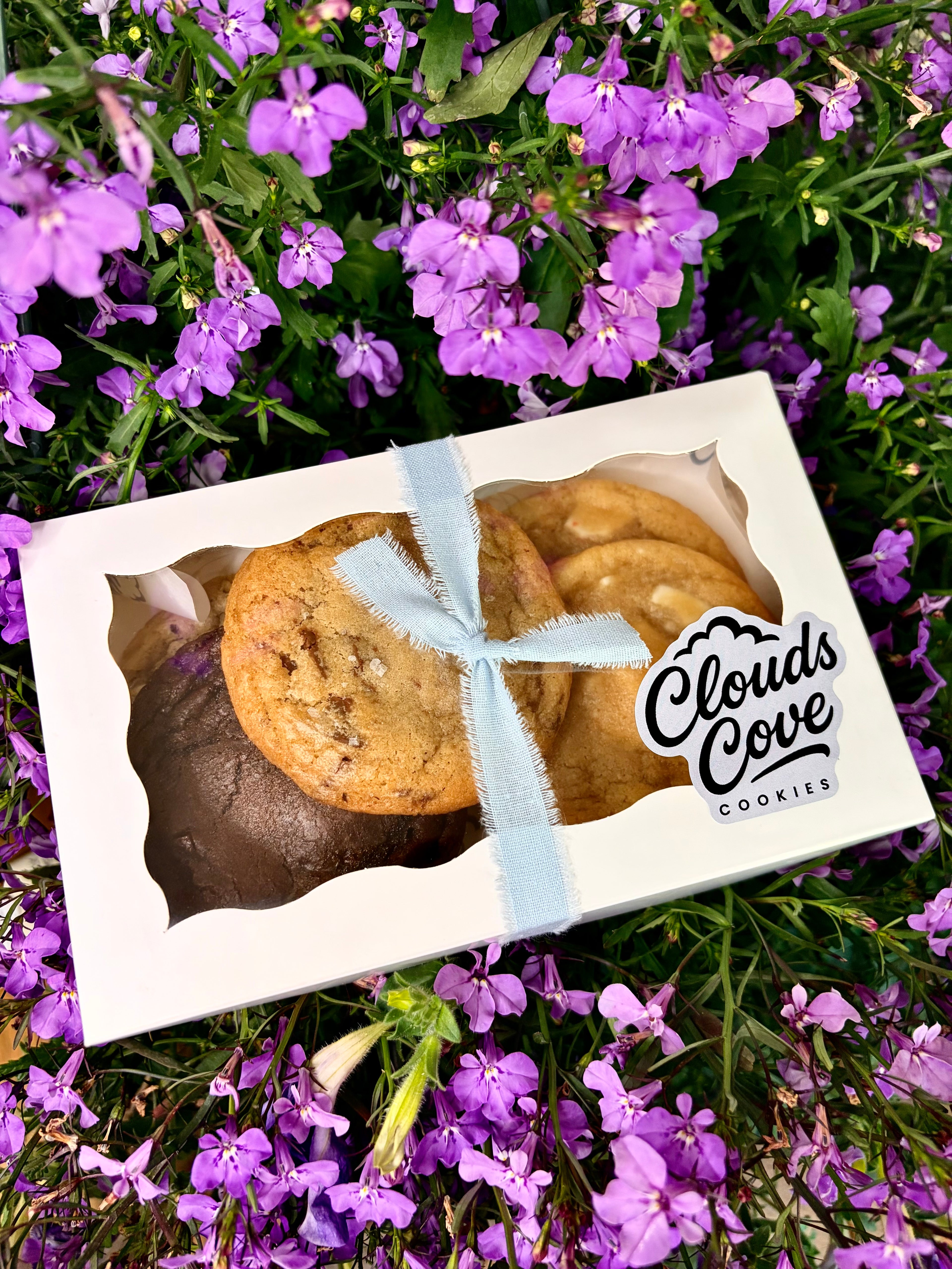 Clouds Cove Cookies Sampler Box | 5 Signature Flavors