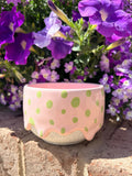 Drippy Pot | Specialty Polka Dot Pink