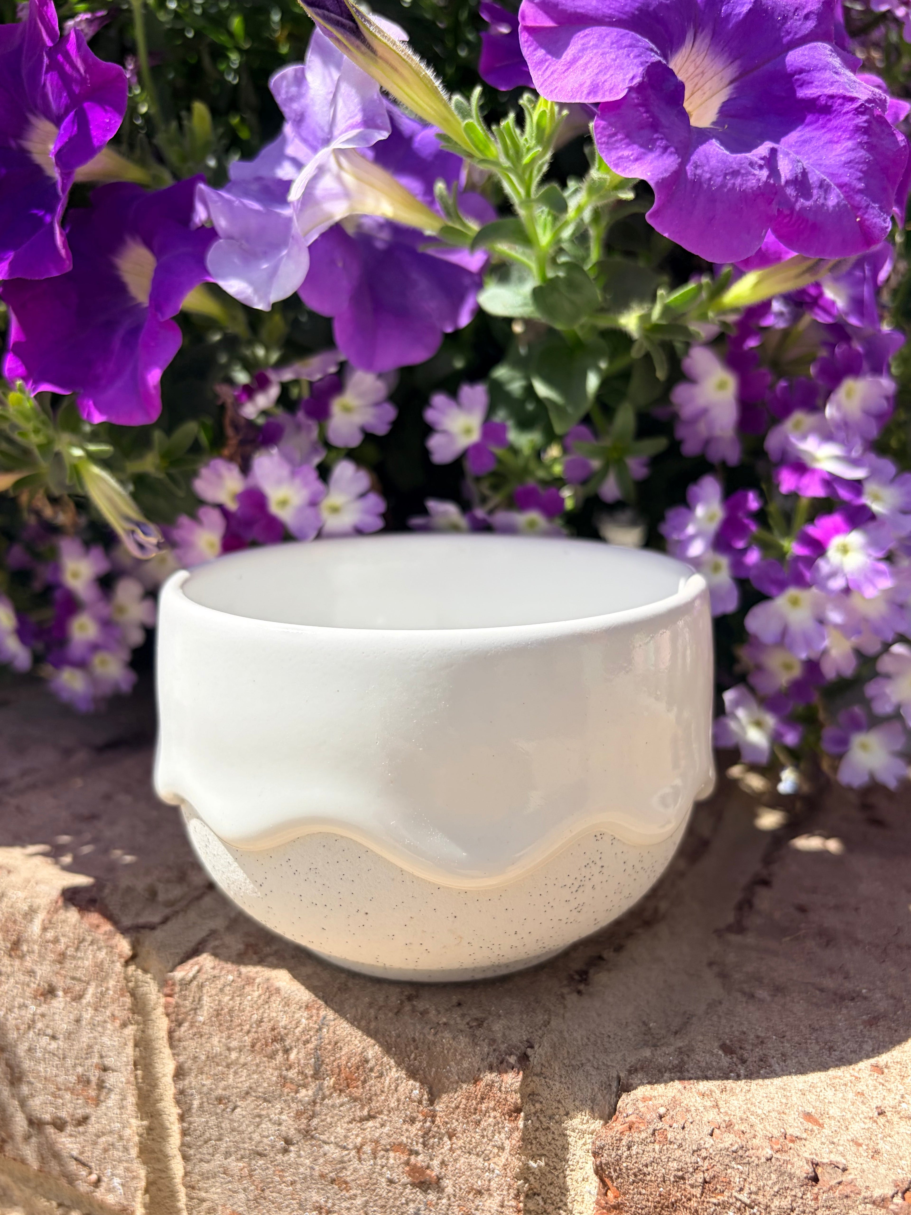 Cookie x Drippy Pot Gift Bundle