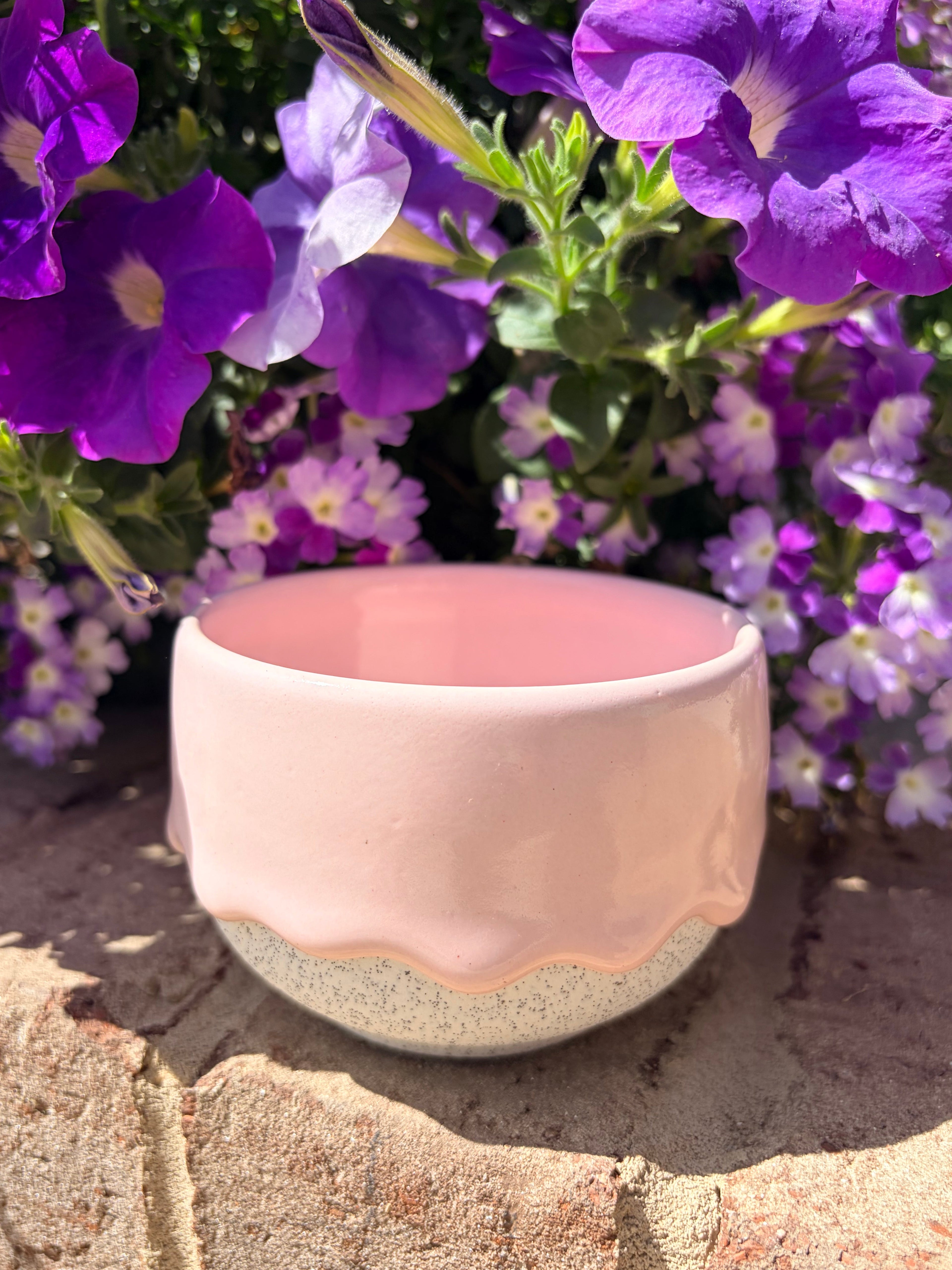 Cookie x Drippy Pot Gift Bundle