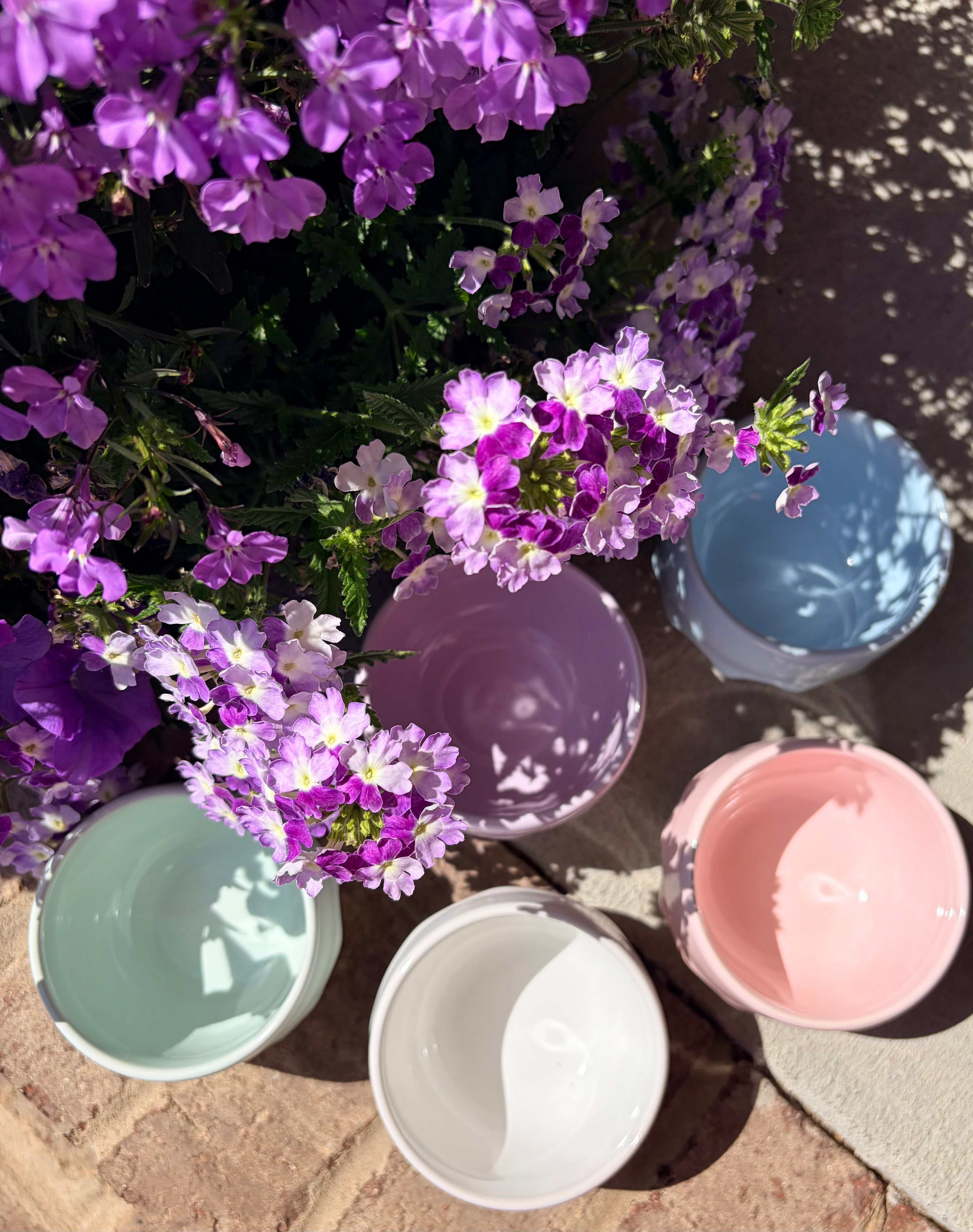 Cookie x Drippy Pot Gift Bundle