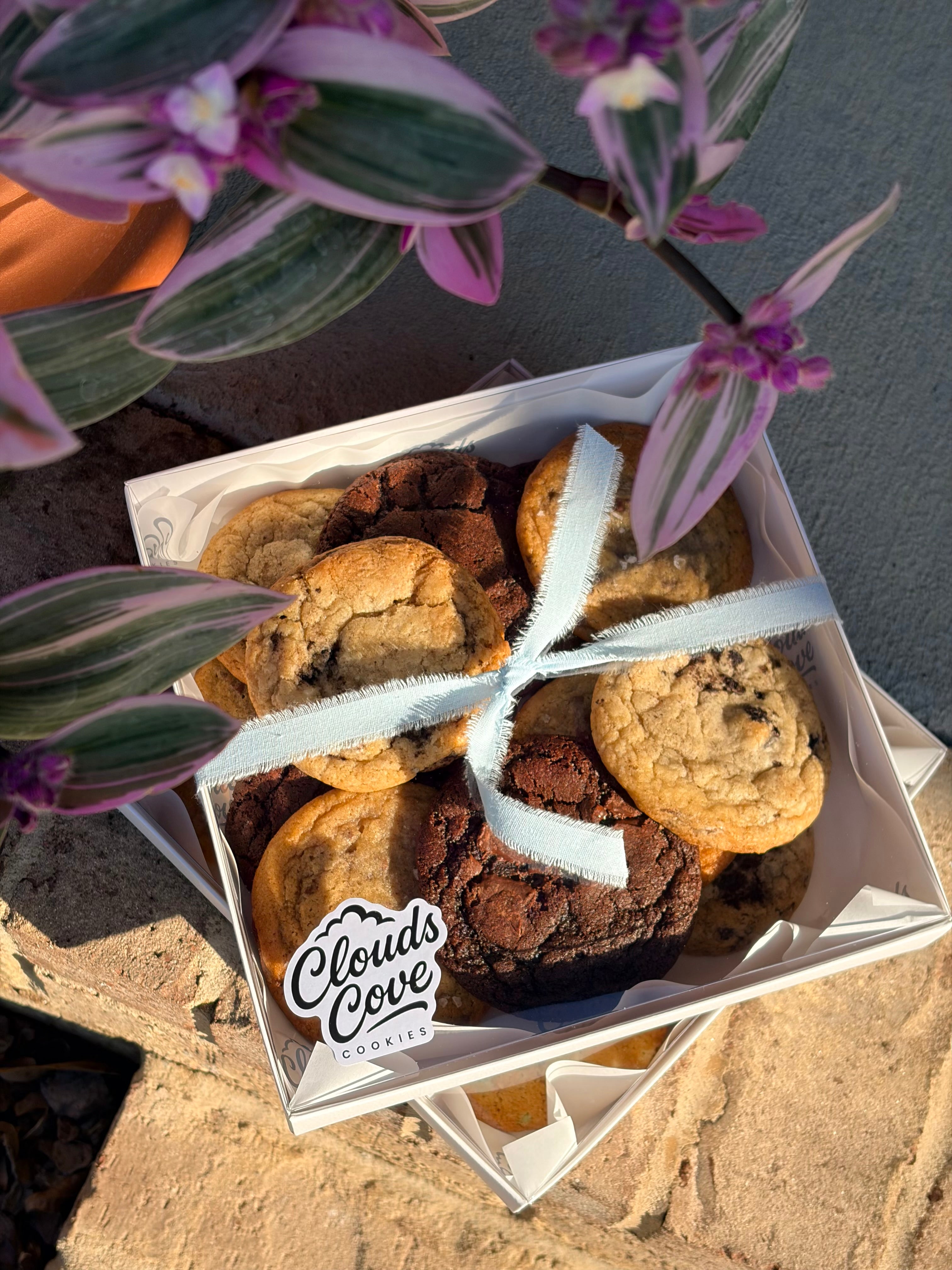 Clouds Cove Cookies 8 or 12 Count Box | Single Flavor